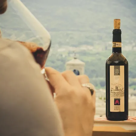 Patrizia's House Varenna